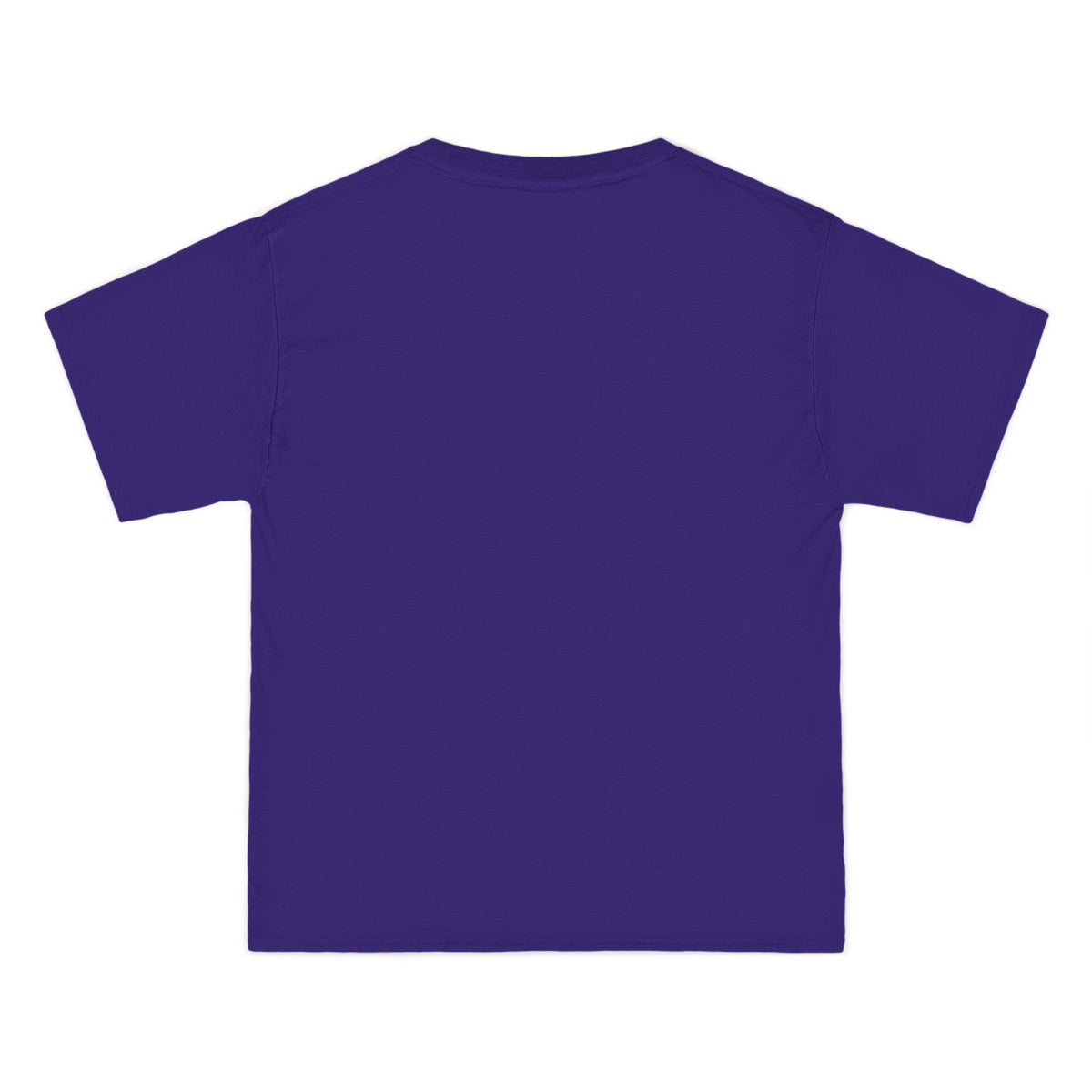 Frog on Bike T-Shirt — “Off to Cause Kerfuffle” Cute Whimsical Graphic Tee