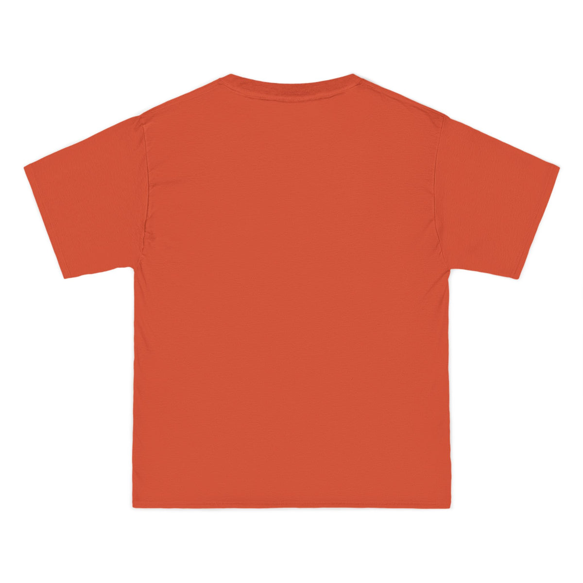 Frog on Bike T-Shirt — “Off to Cause Kerfuffle” Cute Whimsical Graphic Tee
